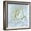 Close-up of White Flower-Clive Nichols-Framed Photographic Print