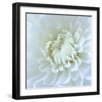 Close-up of White Flower-Clive Nichols-Framed Photographic Print