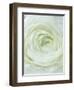 Close-up of White Flower-Clive Nichols-Framed Photographic Print