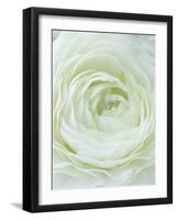 Close-up of White Flower-Clive Nichols-Framed Photographic Print