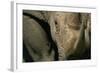Close-Up of White Rhinoceros-null-Framed Photographic Print