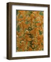 Close-up of Yellow Fringed Orchid with Dew in Summertime, Michigan, USA-Mark Carlson-Framed Photographic Print