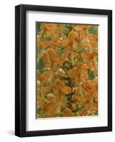 Close-up of Yellow Fringed Orchid with Dew in Summertime, Michigan, USA-Mark Carlson-Framed Photographic Print