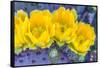 Close-up of yellow Santa Rita prickly pear (Opuntia violacea) cactus flowers, Sonoran Desert, Tu...-Panoramic Images-Framed Stretched Canvas