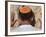 Close Up of Young Man with Bright Yarmulka Praying at Western Wall, Old City, Jerusalem, Israel-Eitan Simanor-Framed Photographic Print