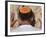 Close Up of Young Man with Bright Yarmulka Praying at Western Wall, Old City, Jerusalem, Israel-Eitan Simanor-Framed Photographic Print