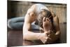 Close up of Young Woman Practicing Yoga, Sitting in Head to Knee Forward Bend Exercise, Janu Sirsas-fizkes-Mounted Photographic Print