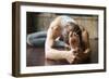 Close up of Young Woman Practicing Yoga, Sitting in Head to Knee Forward Bend Exercise, Janu Sirsas-fizkes-Framed Photographic Print