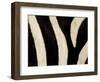 Close-up of Zebra Stripes, Masai Mara, Kenya-Arthur Morris-Framed Photographic Print