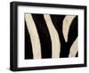 Close-up of Zebra Stripes, Masai Mara, Kenya-Arthur Morris-Framed Photographic Print