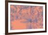 Close-Up on Spring-Philippe Sainte-Laudy-Framed Photographic Print