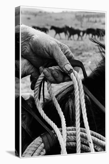 Close Up on Weather Beaten Hand of Whistle Mills Ranch Foreman Holding Rope-John Loengard-Stretched Canvas