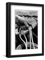 Close Up on Weather Beaten Hand of Whistle Mills Ranch Foreman Holding Rope-John Loengard-Framed Photographic Print