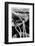 Close Up on Weather Beaten Hand of Whistle Mills Ranch Foreman Holding Rope-John Loengard-Framed Photographic Print