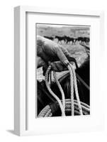 Close Up on Weather Beaten Hand of Whistle Mills Ranch Foreman Holding Rope-John Loengard-Framed Photographic Print