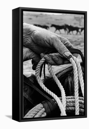 Close Up on Weather Beaten Hand of Whistle Mills Ranch Foreman Holding Rope-John Loengard-Framed Stretched Canvas