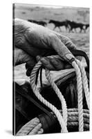 Close Up on Weather Beaten Hand of Whistle Mills Ranch Foreman Holding Rope-John Loengard-Stretched Canvas