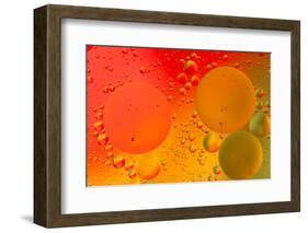 Close-up pattern of bubbles in oil and water mixture.-Adam Jones-Framed Photographic Print