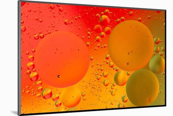 Close-up pattern of bubbles in oil and water mixture.-Adam Jones-Mounted Photographic Print