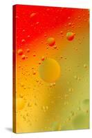 Close-up pattern of bubbles in oil and water mixture.-Adam Jones-Stretched Canvas