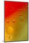 Close-up pattern of bubbles in oil and water mixture.-Adam Jones-Mounted Photographic Print