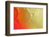 Close-up pattern of bubbles in oil and water mixture.-Adam Jones-Framed Photographic Print