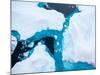 Close up Photo of Beautiful Blue Ice in Arctic Ocean - Nature Background-Mikhail Varentsov-Mounted Photographic Print