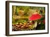 Close-Up Picture of a Amanita Poisonous Mushroom in Nature-iko-Framed Photographic Print