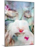 Close-Up Portrait of a Womans Face with Closed Eyes with White Orchid and Texture-Alaya Gadeh-Mounted Premium Photographic Print