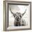 Close up portrait of Scottish Highland cattle on a farm-Mark Gemmell-Framed Photographic Print