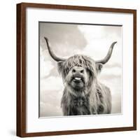 Close up portrait of Scottish Highland cattle on a farm-Mark Gemmell-Framed Photographic Print