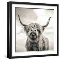 Close up portrait of Scottish Highland cattle on a farm-Mark Gemmell-Framed Photographic Print