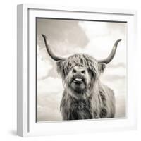 Close up portrait of Scottish Highland cattle on a farm-Mark Gemmell-Framed Photographic Print