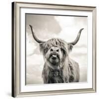 Close up portrait of Scottish Highland cattle on a farm-Mark Gemmell-Framed Photographic Print