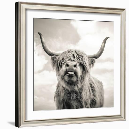 Close up portrait of Scottish Highland cattle on a farm-Mark Gemmell-Framed Photographic Print