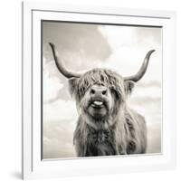 Close up portrait of Scottish Highland cattle on a farm-Mark Gemmell-Framed Photographic Print