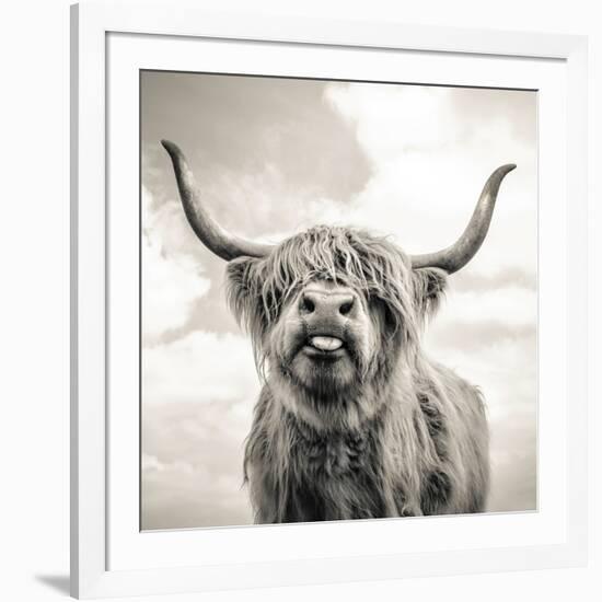 Close up portrait of Scottish Highland cattle on a farm-Mark Gemmell-Framed Photographic Print