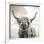 Close up portrait of Scottish Highland cattle on a farm-Mark Gemmell-Framed Photographic Print