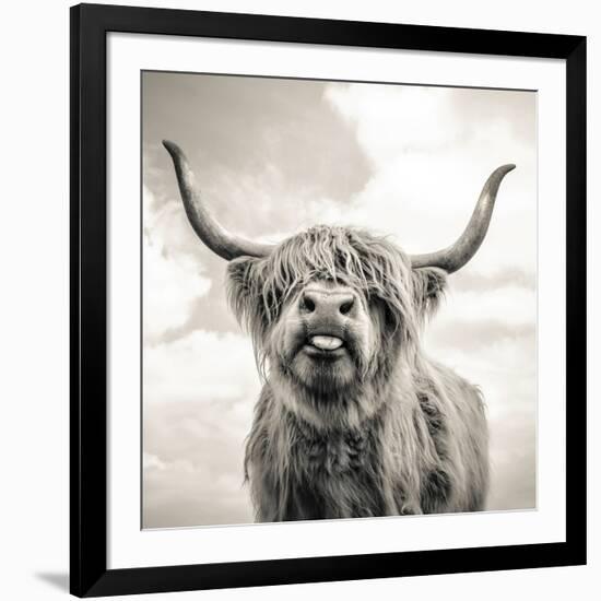 Close up portrait of Scottish Highland cattle on a farm-Mark Gemmell-Framed Photographic Print