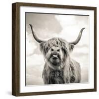 Close up portrait of Scottish Highland cattle on a farm-Mark Gemmell-Framed Premium Photographic Print