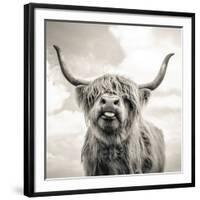 Close up portrait of Scottish Highland cattle on a farm-Mark Gemmell-Framed Photographic Print