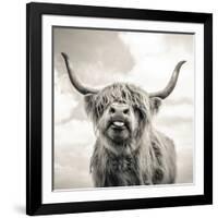 Close up portrait of Scottish Highland cattle on a farm-Mark Gemmell-Framed Photographic Print