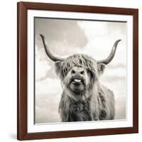 Close up portrait of Scottish Highland cattle on a farm-Mark Gemmell-Framed Photographic Print