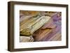 Close-up, Rainbow Vista, Valley of Fire State Park, Nevada, USA.-Michel Hersen-Framed Photographic Print