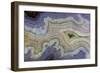 Close-Up Royal Aztec Lace Agate-Darrell Gulin-Framed Photographic Print