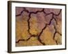 Close-Up Shot of Cracked Earth-Mallorie Ostrowitz-Framed Photographic Print