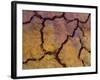 Close-Up Shot of Cracked Earth-Mallorie Ostrowitz-Framed Photographic Print