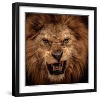 Close-Up Shot Of Roaring Lion-NejroN Photo-Framed Premium Photographic Print