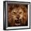 Close-Up Shot Of Roaring Lion-NejroN Photo-Framed Premium Photographic Print