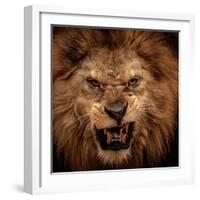 Close-Up Shot Of Roaring Lion-NejroN Photo-Framed Premium Photographic Print